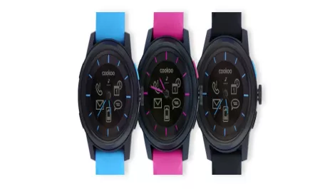2013: The year of the Smart Watch?