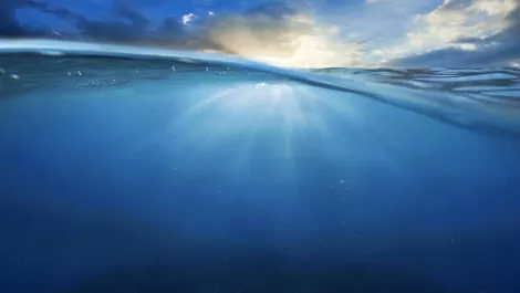 Samsung wades into AI waters with latest acquisition
