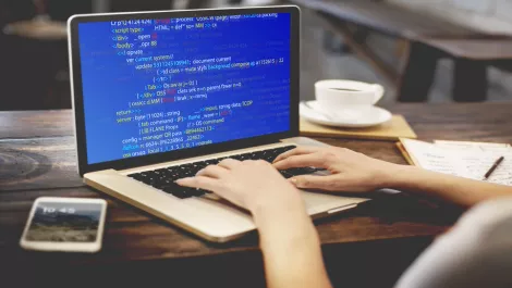 12 year old to bring Parliament up to code