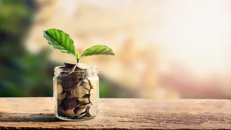 Palo Alto Networks forms $20m venture fund for budding security vendors