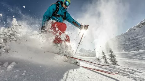 Ingram Micro NZ resellers to shred the slopes in Canada in new HP promo