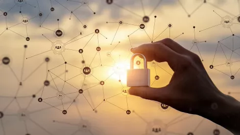 Four free tools to help lock down your web security