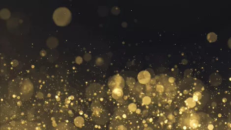 Take a look at the finalists for the 2018 Xero Awards