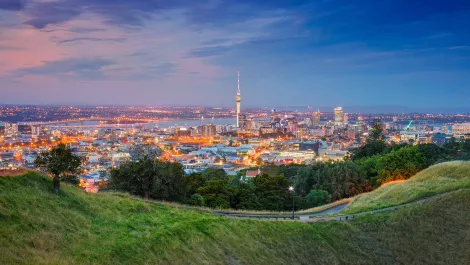 Kiwi environmental entrepreneurs win global grant