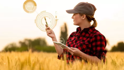 NNNCo and Agriculture Vic to roll out rural IoT networks