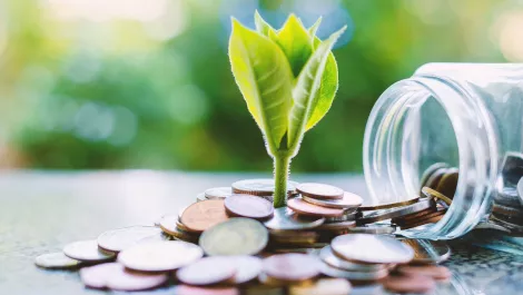 IT leaders willing to spend green to get green