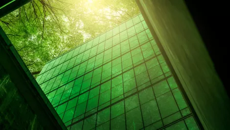 TeamViewer to be climate neutral in three years time